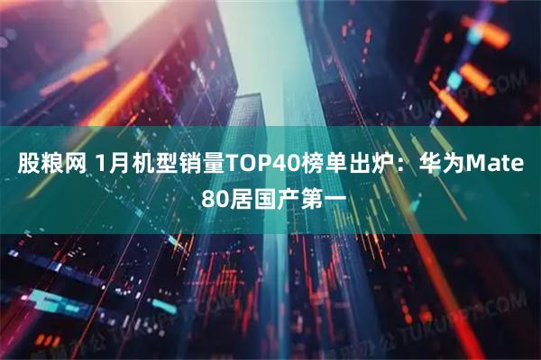 股粮网 1月机型销量TOP40榜单出炉：华为Mate 80居国产第一