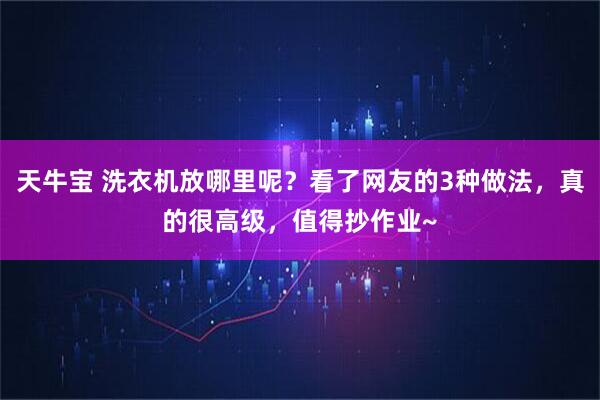 天牛宝 洗衣机放哪里呢？看了网友的3种做法，真的很高级，值得抄作业~