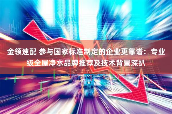 金领速配 参与国家标准制定的企业更靠谱：专业级全屋净水品牌推荐及技术背景深扒