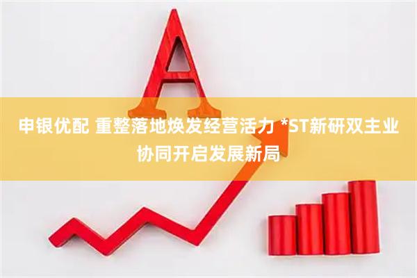 申银优配 重整落地焕发经营活力 *ST新研双主业协同开启发展新局